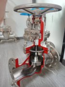 同比增长10.17%；毛利率23.8%