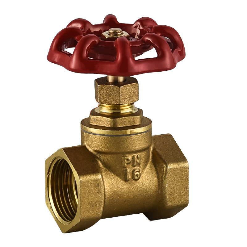 提供博物馆设施(表演、展览)(