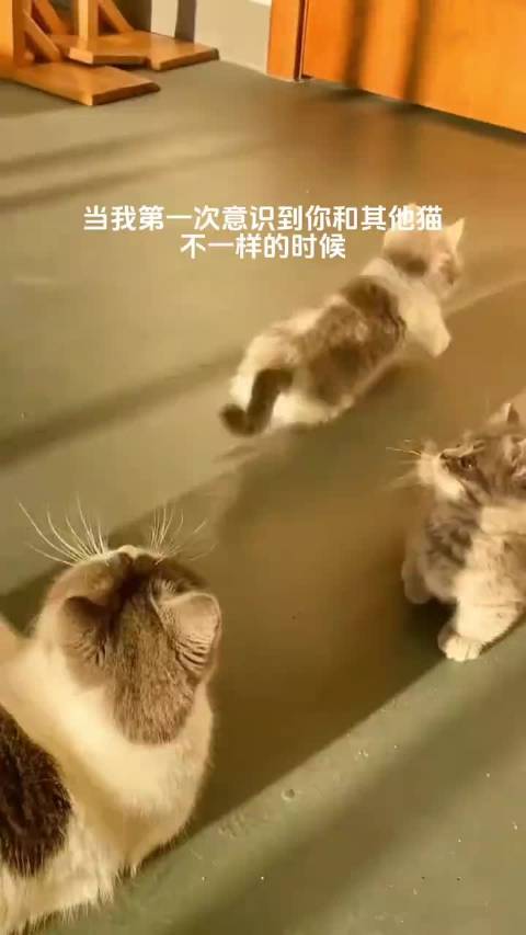 火箭队布里奇斯防守风格独特 成球队新标杆